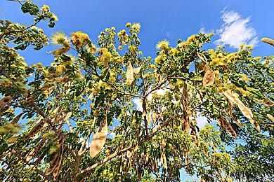 育碧公布2023开年动作驾驶新游 《飙酷车神：轰鸣盛典》